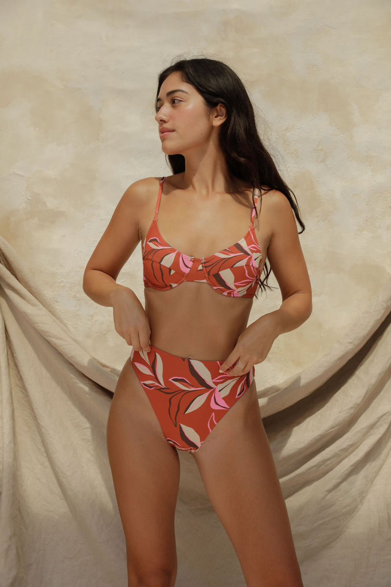 Conch Bikini Top - Havana