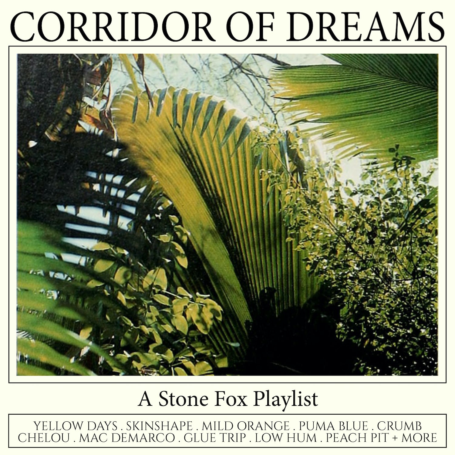 Corridor of Dreams