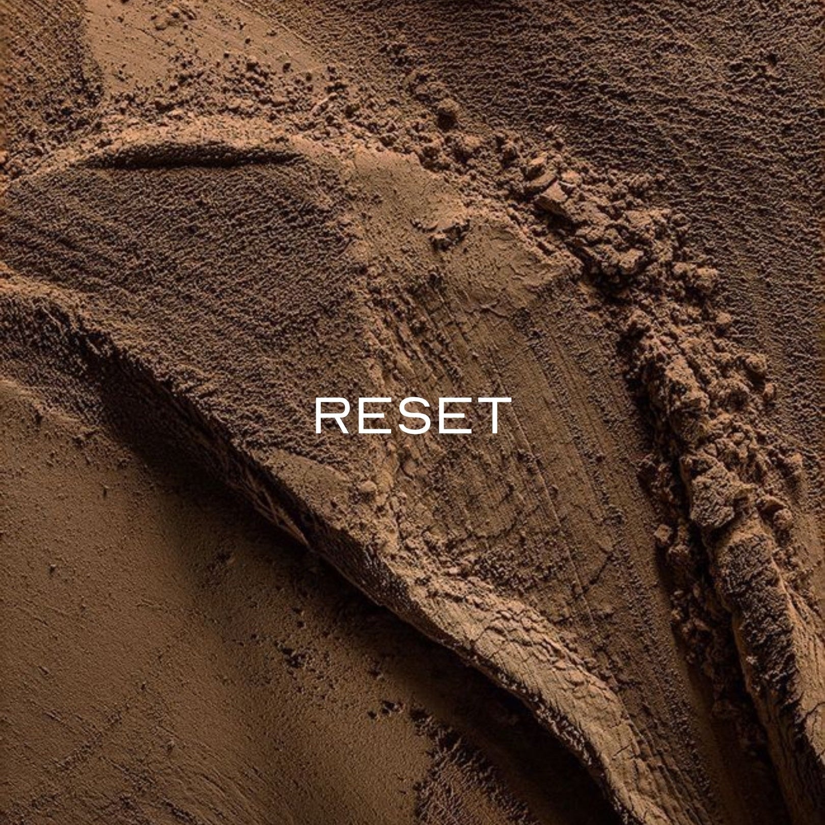RESET