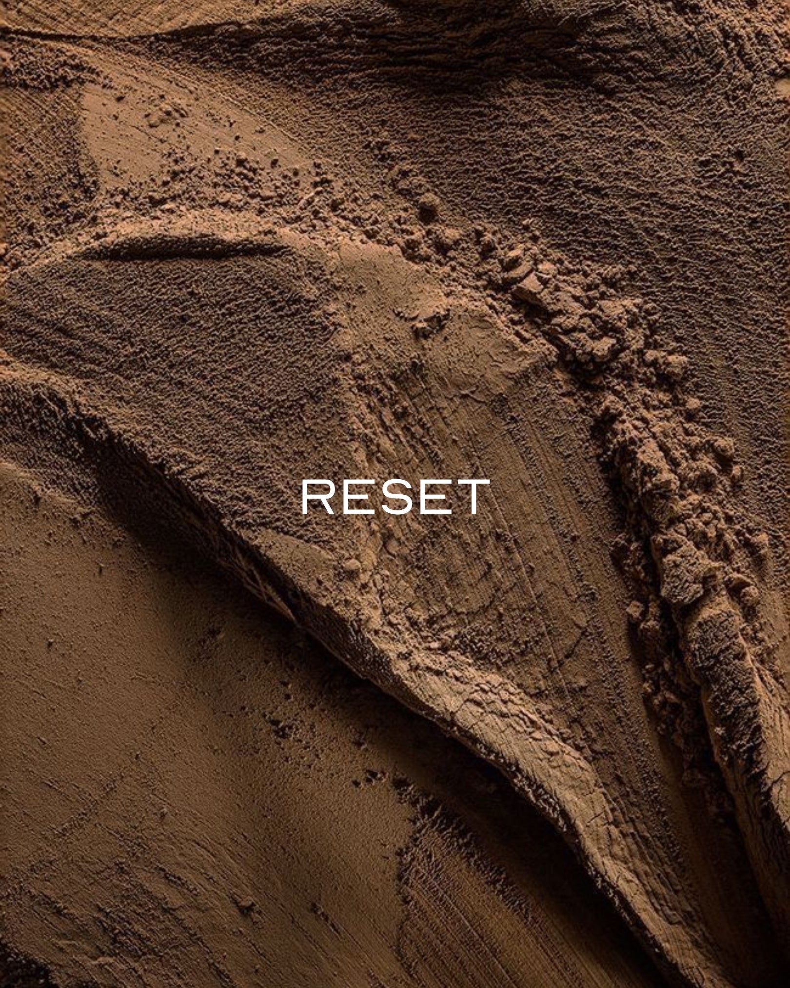 RESET