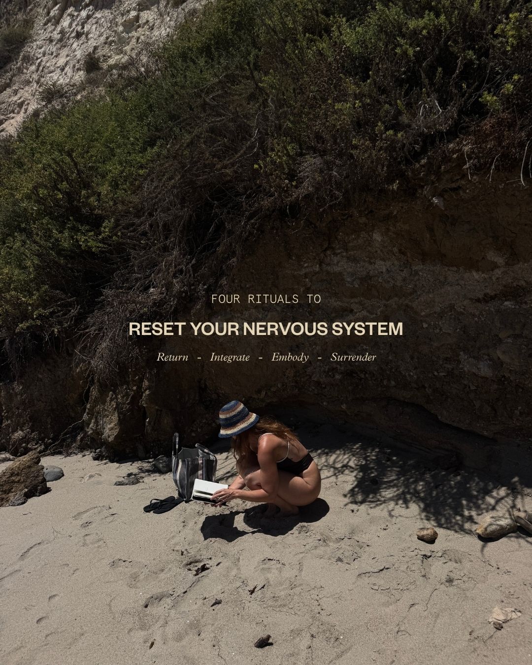 NERVOUS SYSTEM RESET