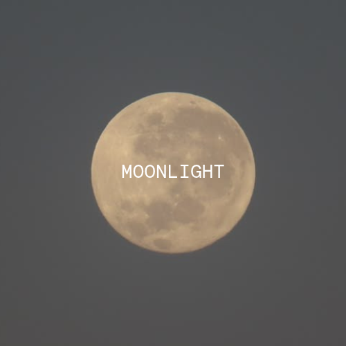 MOONLIGHT