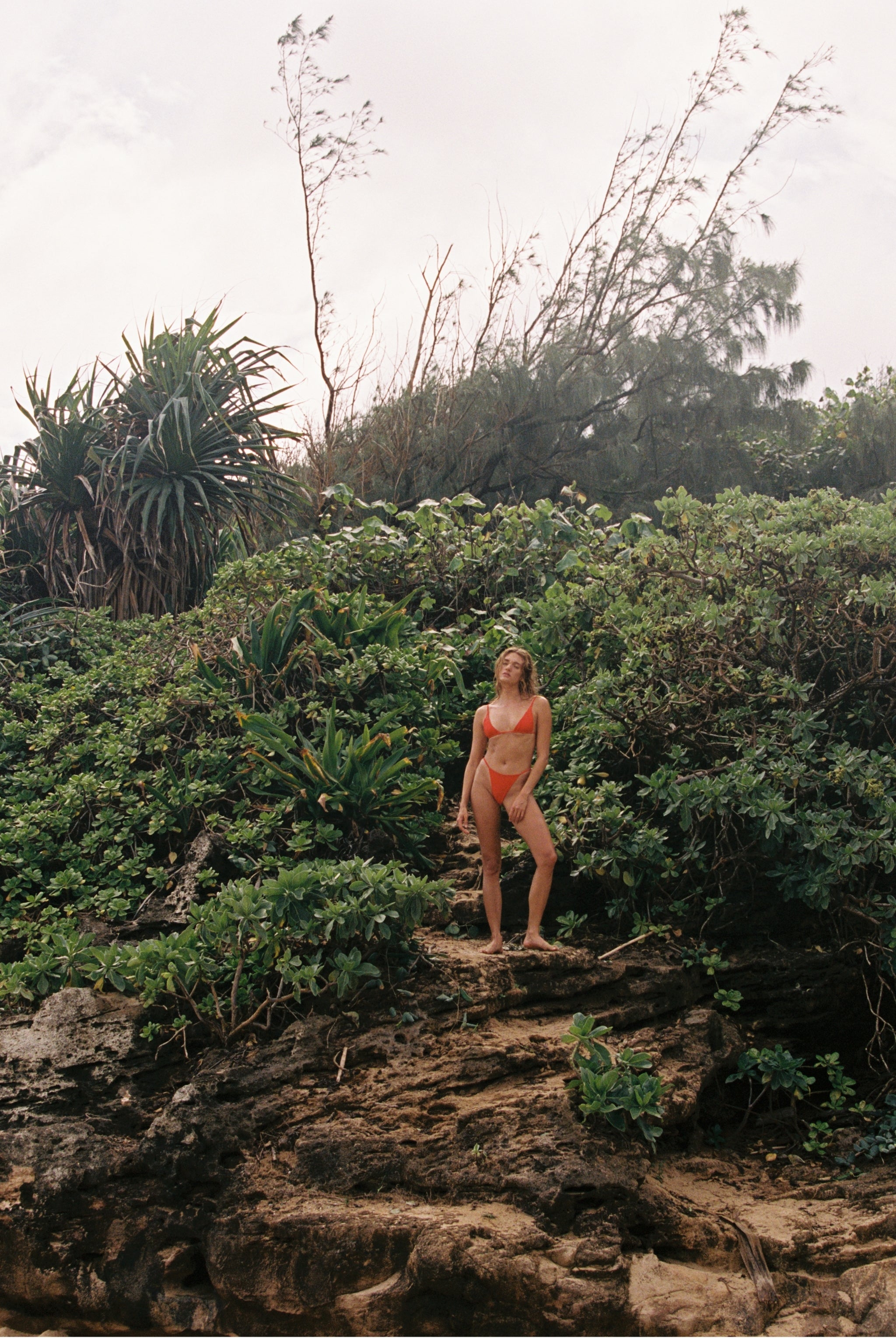 ROAD TO HANA