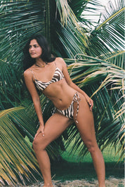 Palma Bikini Bottom - Untamed